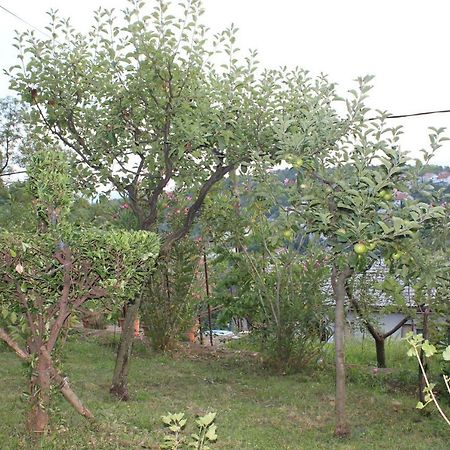 Tutnovo 13 Appartement Rijeka Buitenkant foto
